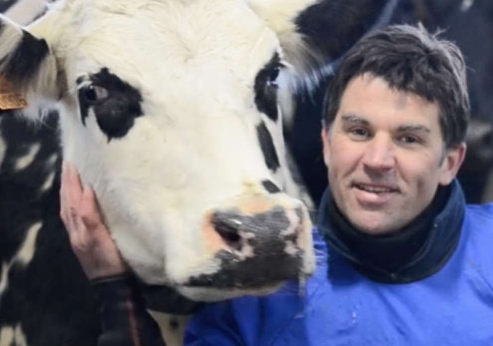 Un producteur laitier et sa vache