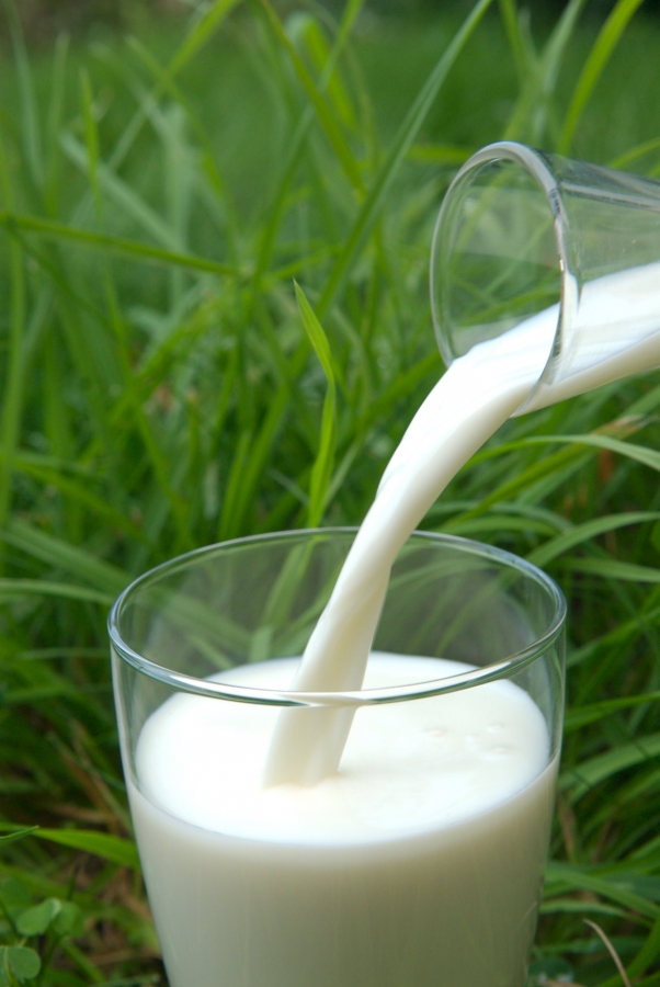 Verser du lait dans un verre