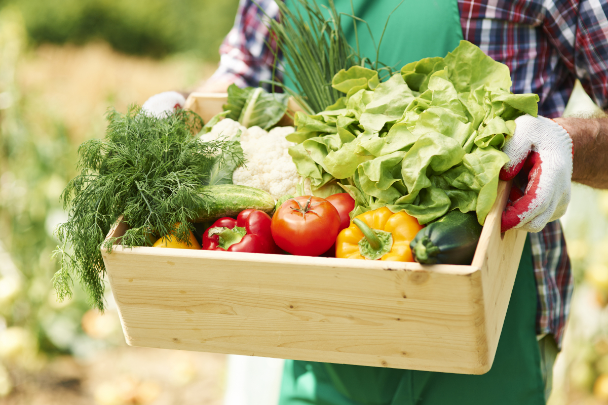 panier de légumes